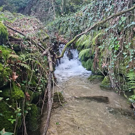 Casa de Férias Abadia House - Gerês