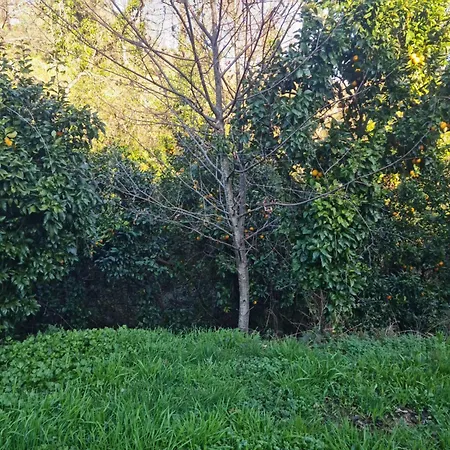 Abadia House - 度假居