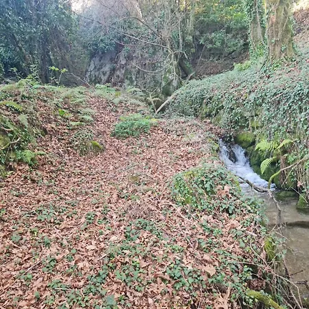 度假居 Abadia House -