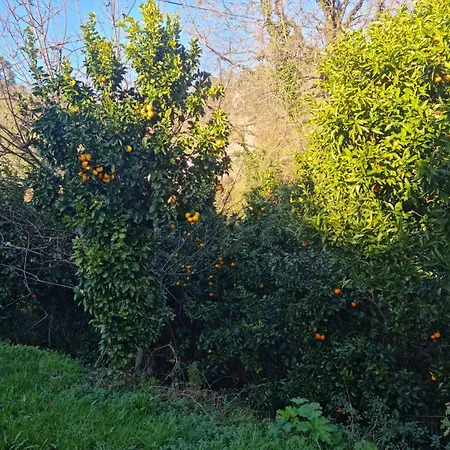 Nyaraló Abadia House -