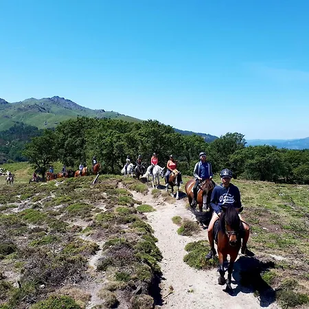 Casa de Férias Abadia House - *