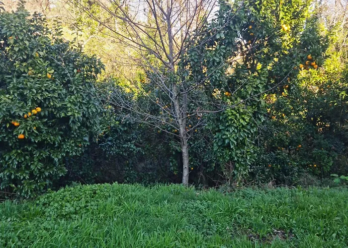 Abadia House - Сasa de vacaciones