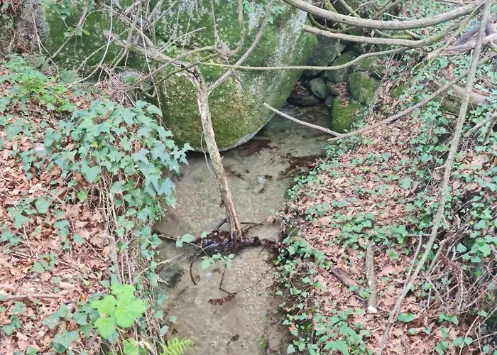 Abadia House - * Geres