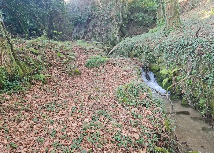 Prázdninový dům Abadia House -