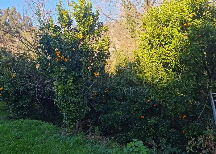 Prázdninový dům Abadia House -