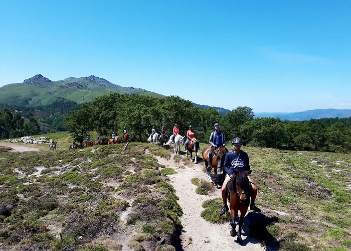 Сasa de vacaciones Abadia House - *